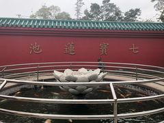 -宝莲禅寺