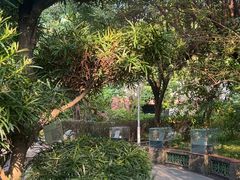 -广州神农草堂中医药博物馆