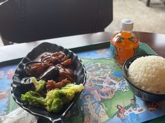 -雨林餐厅(长隆海洋王国店)
