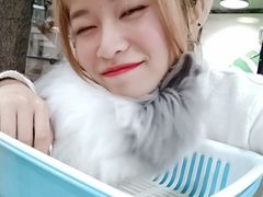 -藦茜花园宠物主题亲子互动体验馆(国顺东路店)