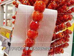 -和禄德冰糖葫芦