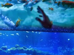 -海合安青岛极地海洋公园