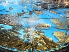-耕渔小院·湖南鱼鲜(望城店)