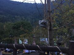 -楠柏弯休闲山庄(梨花溪店)