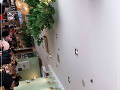 -仙踪林(北展店)