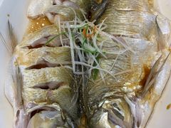 清蒸白丝鱼-状元楼(金溪路店)