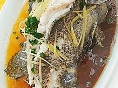 -浩海美食店(闸坡店)