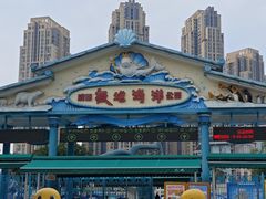 -海合安成都极地海洋公园