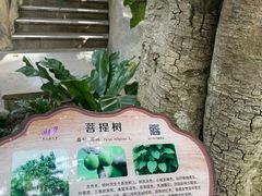 -南山植物园