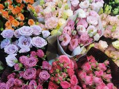 -双季花艺园艺市场(浦东店)