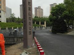 -陈家山荷花公园