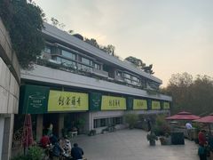 -青藤茶馆(南山路店)