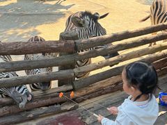 -泉州海丝野生动物世界