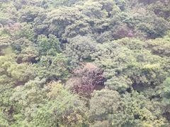 -白云山索道-售票处
