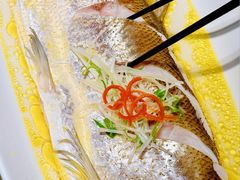 -苏帮袁Sue Cuisine(南开大悦城店)