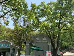 -WeLope紫金山探险公园