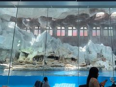 -帝企鹅自助餐厅•儿童岛•真企鹅(长隆企鹅酒店)