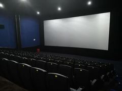 -幸福蓝海国际影城(上海三林店)