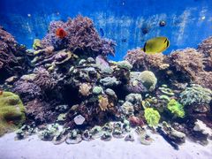 -珠海长隆海洋王国