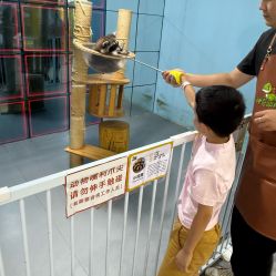 点击看大图 -神奇动物撸宠馆·羊驼·小浣熊·异宠(豫园店)