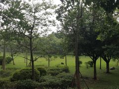 -火炉山森林公园