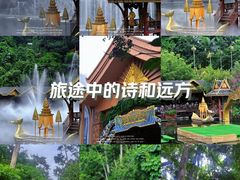 -西双版纳原始森林公园