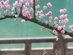 -望江楼公园