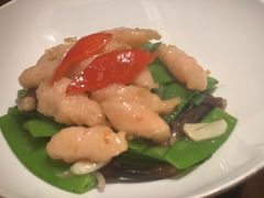 -觅唐MITONG(鸟巢店)