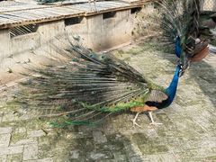 -南京金牛湖风景区