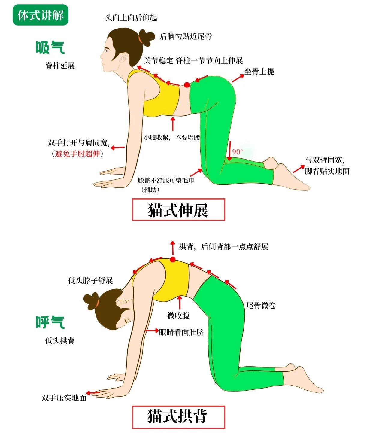 瑜伽猫摆尾体式口令图片