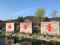 门面-香雪海