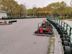 -上海海湾国家森林公园