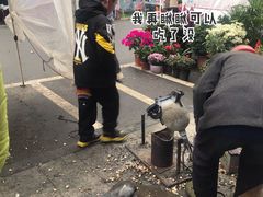 -磐安舞龙峡景区