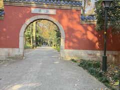 -灵谷景区
