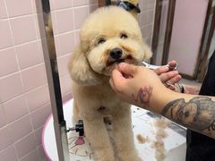 -FAELING PETS美天灵宠物(富力广场店)