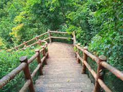 -荔江湾景区
