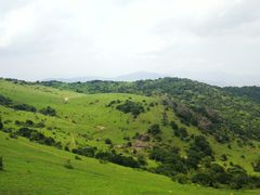 -大姆山草场