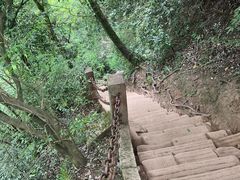 -青城山