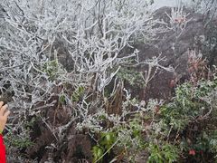 -金子山原生态旅游风景区