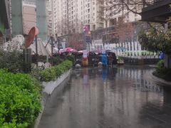 -茶颜悦色(花园道店)
