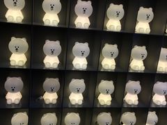-line friends(明洞旗舰店)