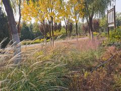 -永定河休闲森林公园