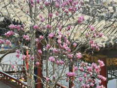 -碑林公园