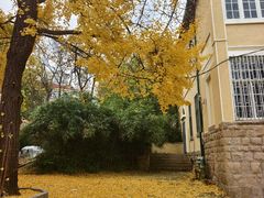 -Rabbit Cafe私房西餐甜点咖啡(栖霞路店)