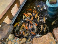 -伯乐居茶艺馆(石岐大信店)
