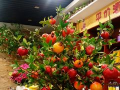 -尚帝·洛阳菜(八號院店)
