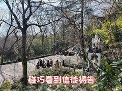 -上海佘山国家森林公园西佘山园