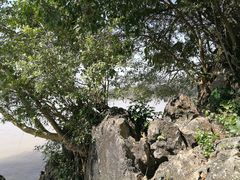 -扬美古镇景区