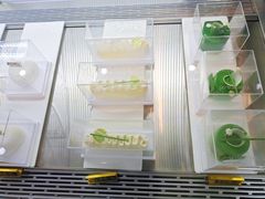 -麦雪尔甜品·生日蛋糕(新街口旗舰店)