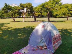 -泰丰公园
